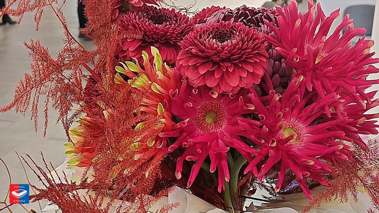Cupa României – Artă Florală, fotografia 13